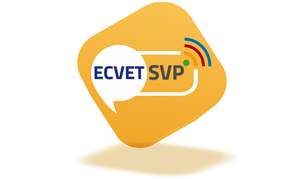 ecvet-skills-platform